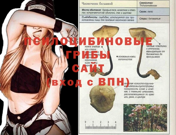 не бодяженный Алексин