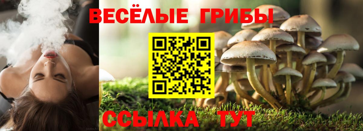 Псилоцибиновые грибы Magic Shrooms Удомля