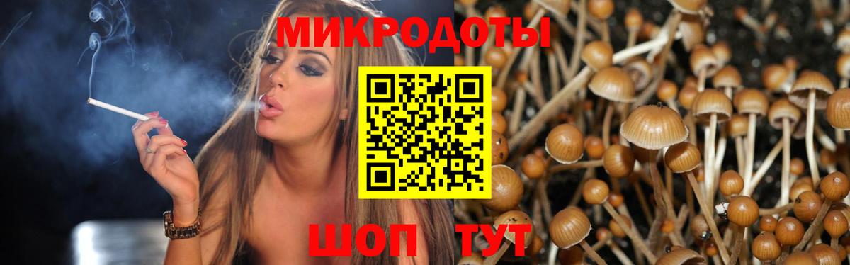 Галлюциногенные грибы GOLDEN TEACHER  Вход с VPN  Удомля 